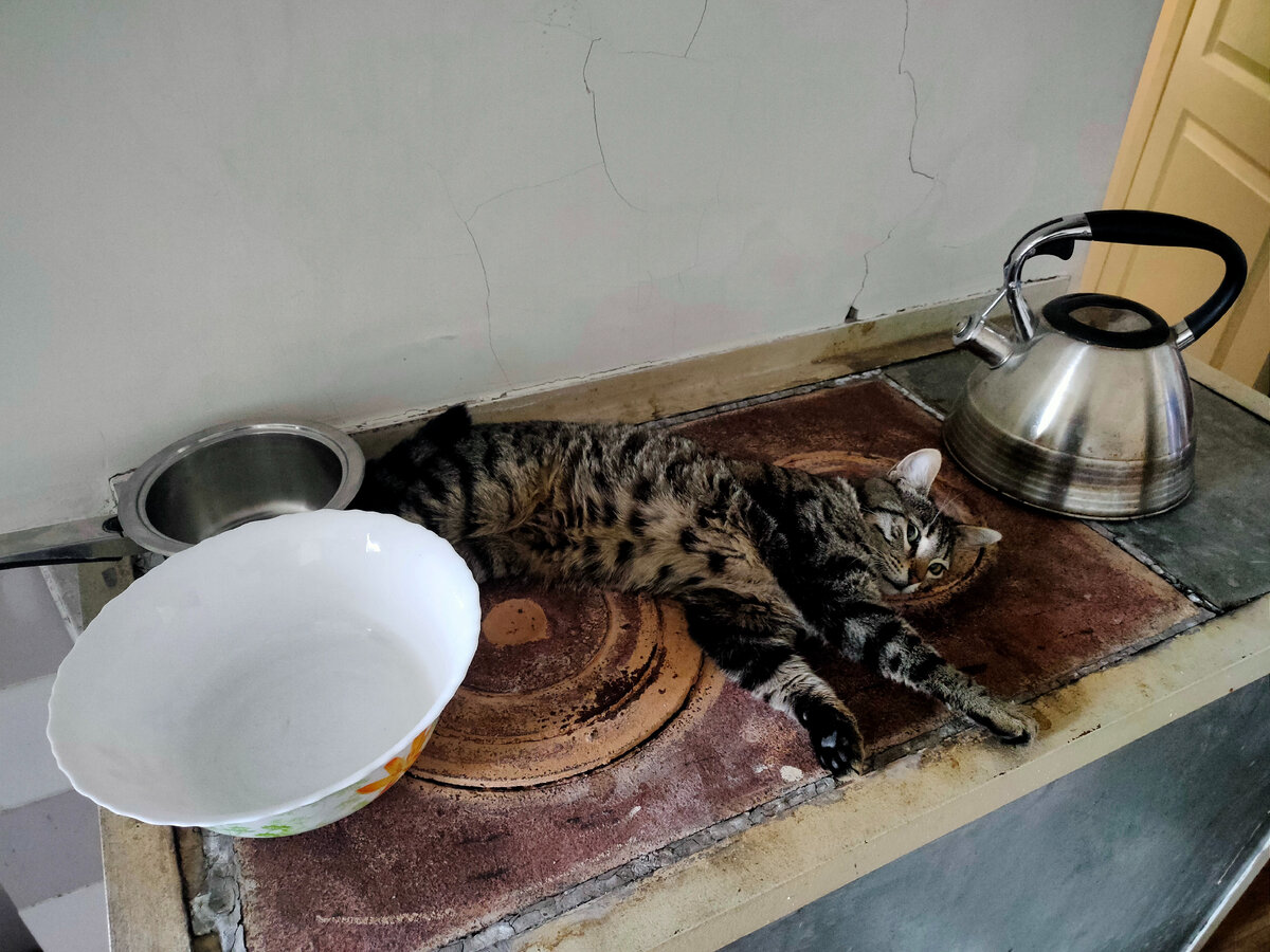 Лежит на печке