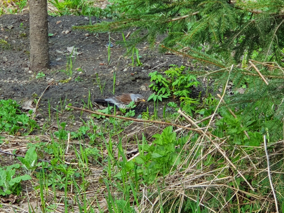 Фото с той самой прогулки