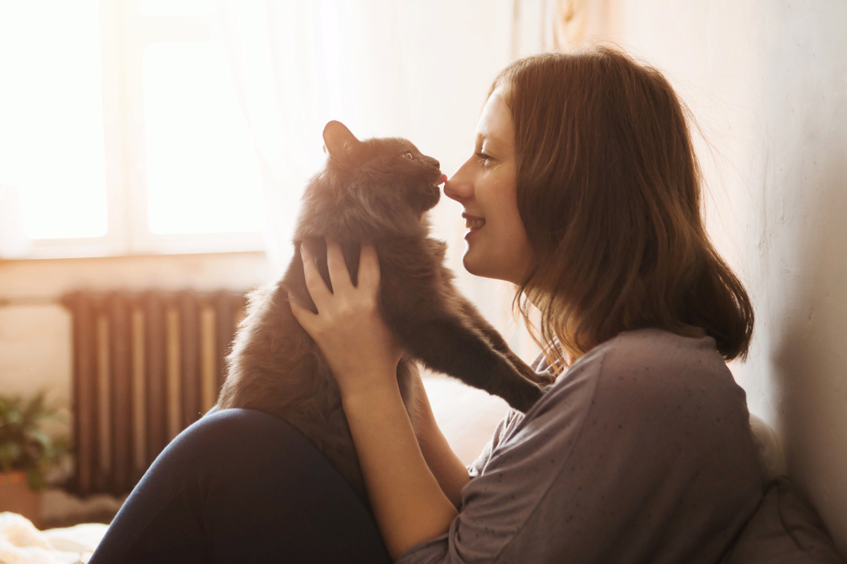 😻Доказательства того, что кошка понимает и любит своего владельца | Нос,  хвост, лапы | Дзен