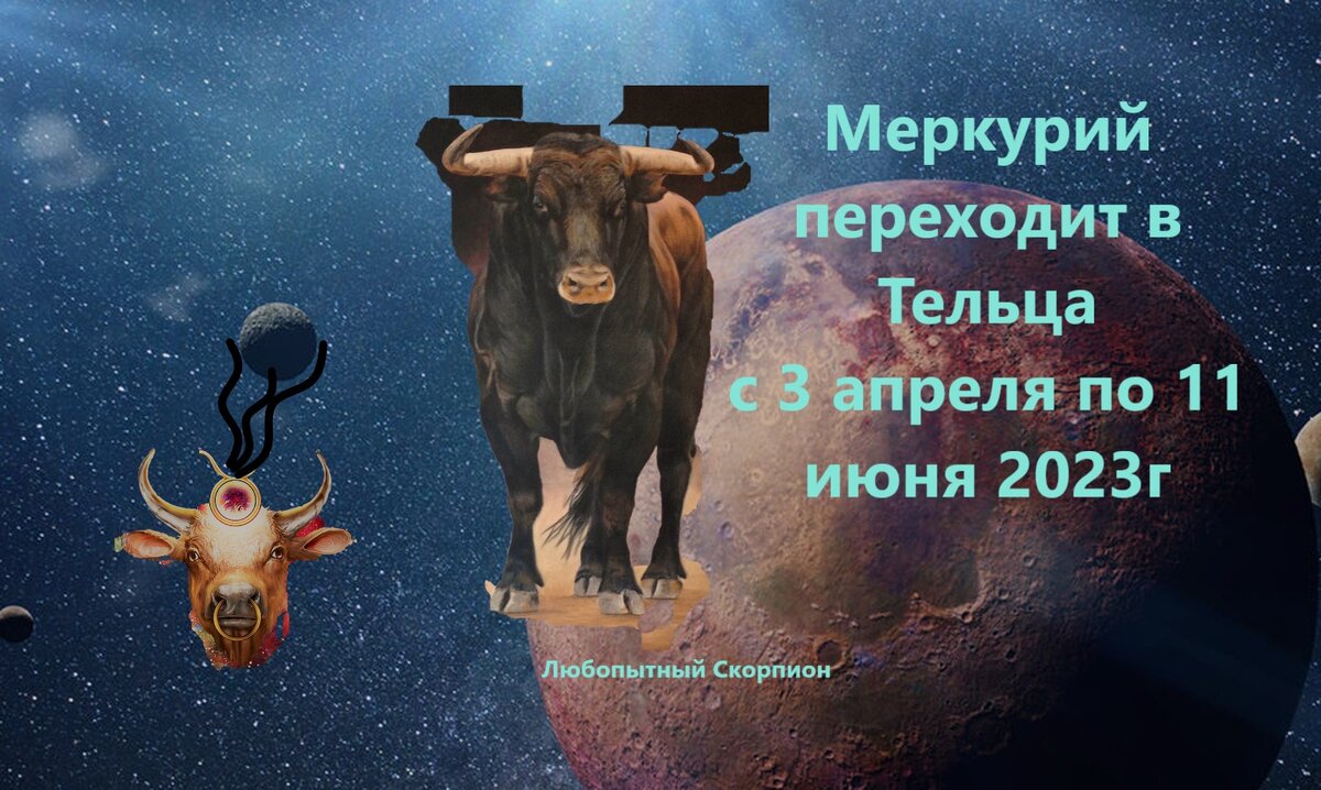 Таро телец декабрь 2023