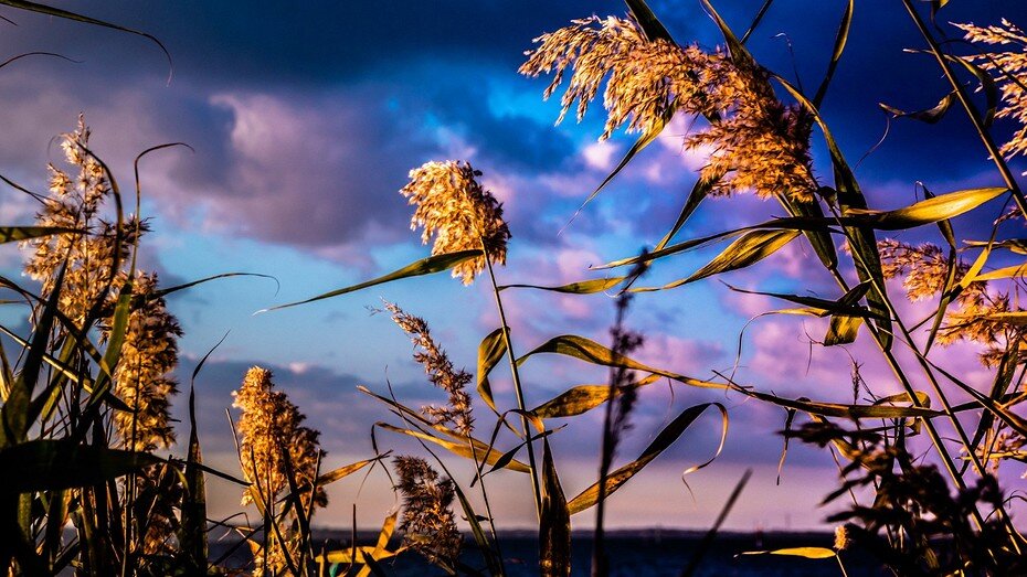     Здесь и далее: freepik.com