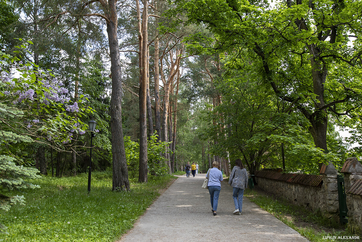 01 По проектам В. Д. Поленова в усадьбе построены главный дом, мастерская художника «Аббатство», флигели, службы, а также расположенные в 2 км от Поленова в селе Бёхово Троицкая церковь и школа, где организован народный театр для крестьян и их детей в селе Страхово.