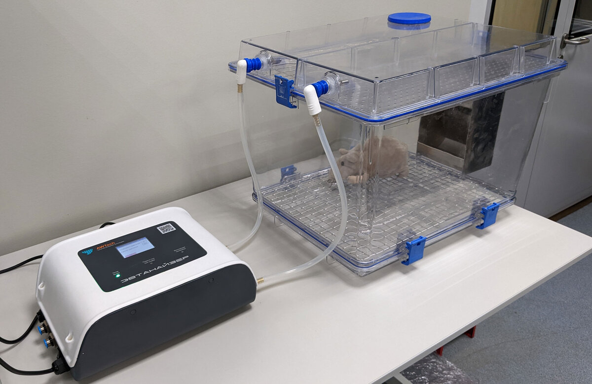 Газовая камера в Российской лаборатории . Только для животных, да и то замученных. Так и называется - "эвтанайзер" .