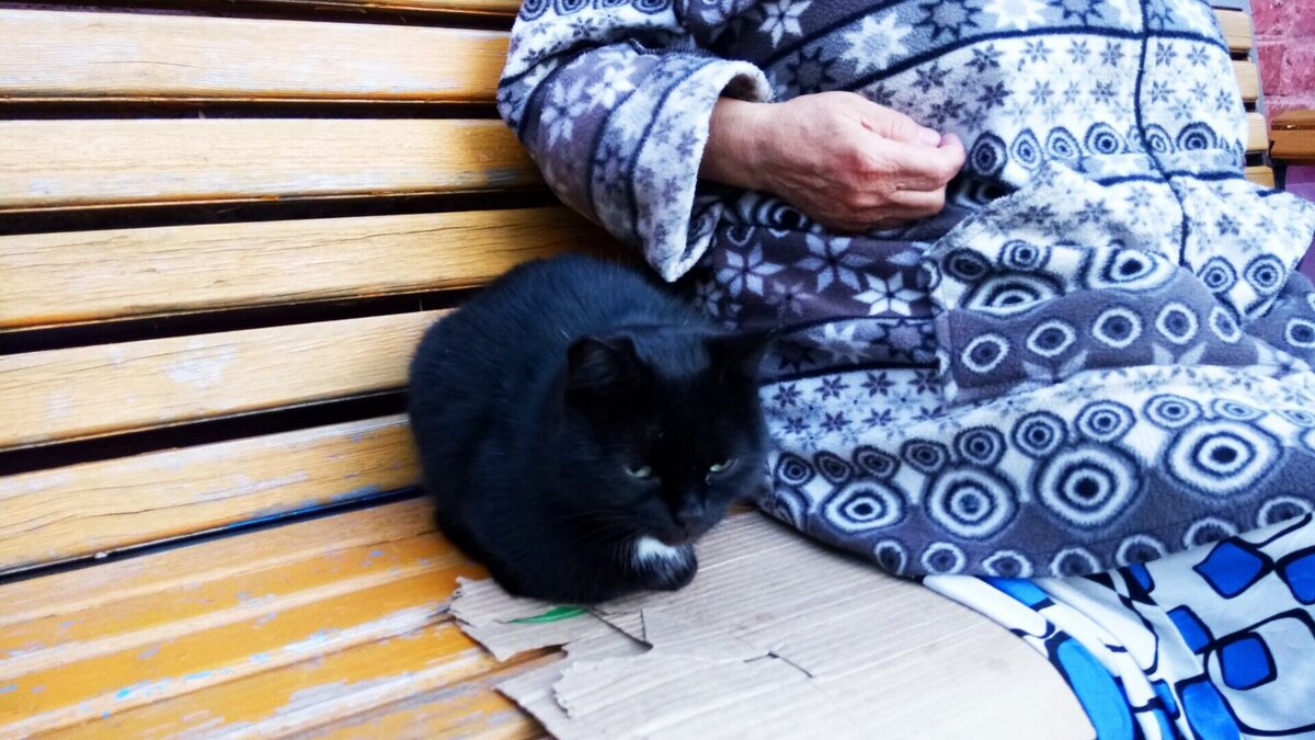     Сейчас уроженцы Бурятии, в среднем, живут в 2,3 раза меньше. Показатель в республике составляет 69,4 года.