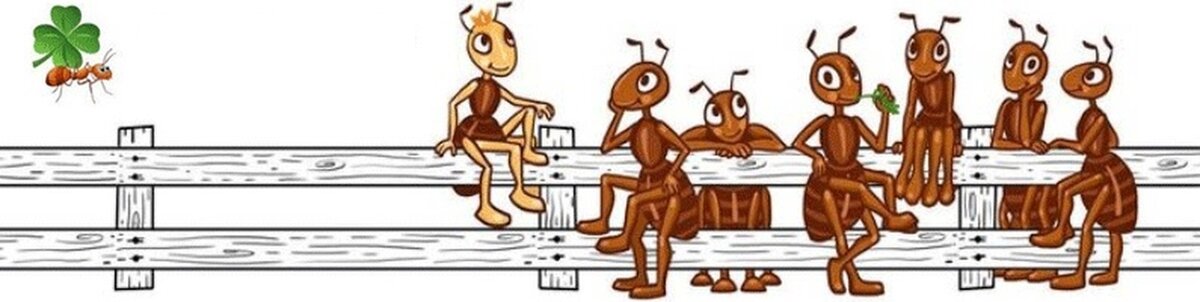 Муравьи забор строят. А за материалом идут к нам).