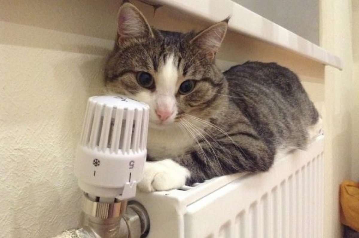    В Пензе планируют отключить отопление в первой половине апреля