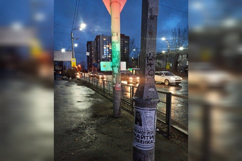     В поисках девочки приняли участие около 60 человек. Фото: телеграм-канал Поисковый отряд «ЛизаАлерт» Томской области