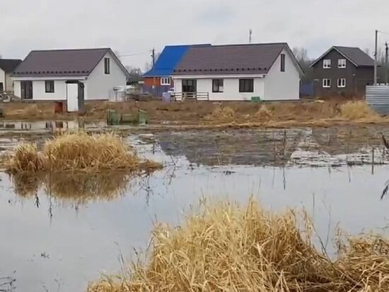     кадр из репортажа Народного фронта