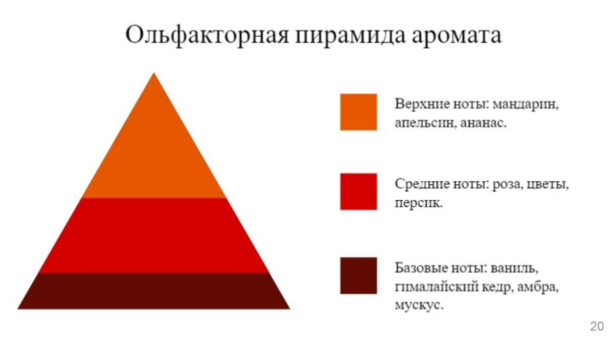 Составные части аромата из первой коллекции SANNIKOV