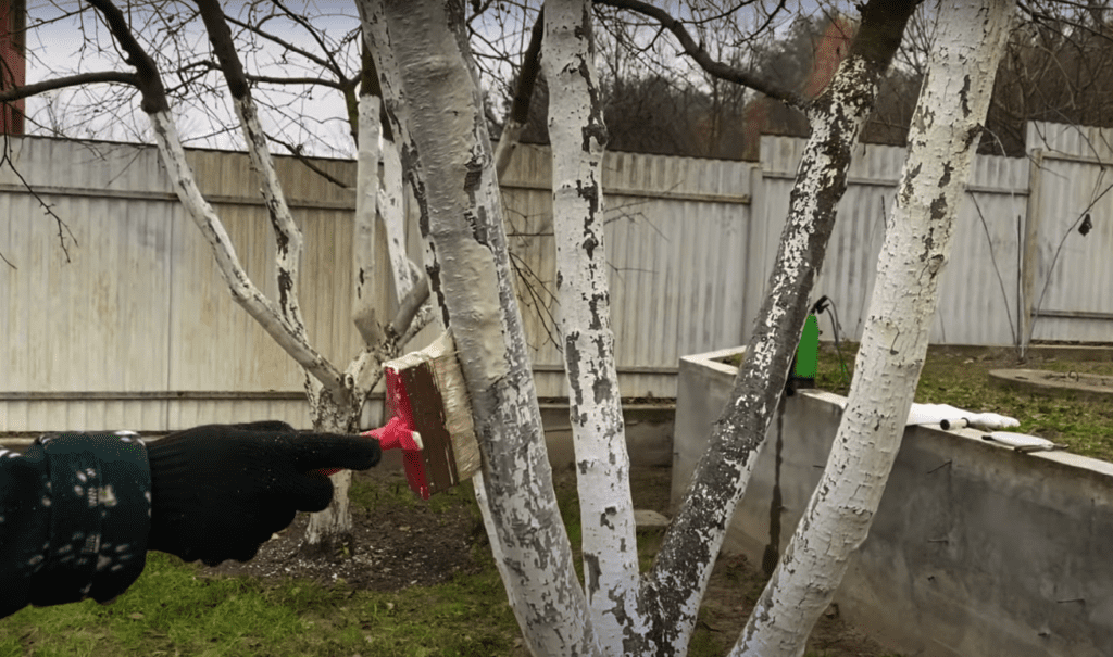 Кадр: Молодой Садовод / YouTube