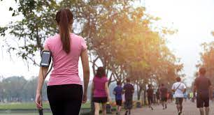 Взято из общего доступа