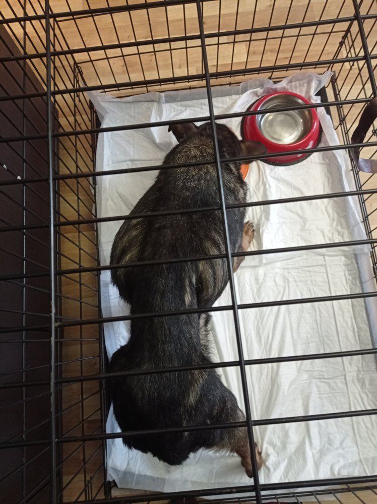 февраль 2022г