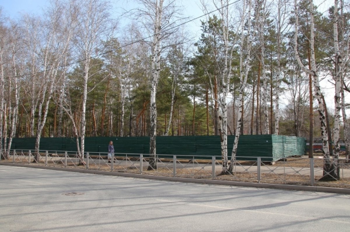    В Тюмени к осени обновят территорию Школьного сквера