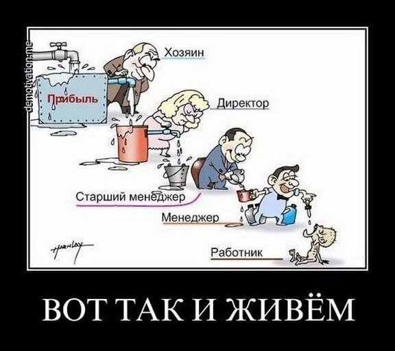 яндекс картинки