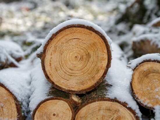     ФОТО: PIXABAY.COM