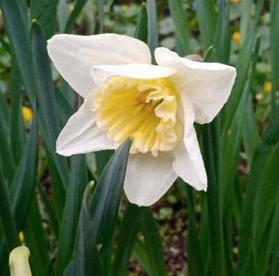 Как можно быть таким красивым?!