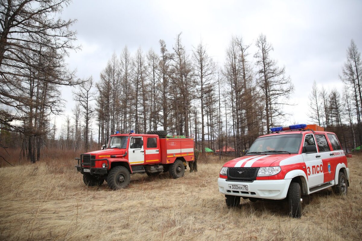 Ограничения на пребывание в лесу ввели части лесничеств Забайкалья ...