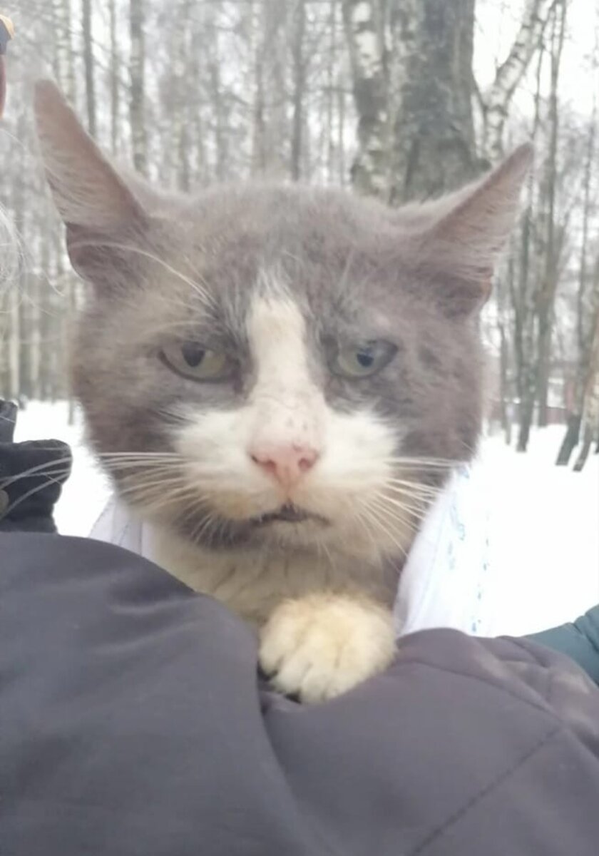 А такое фото мне прислали.