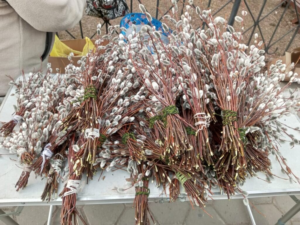   Фото: Амур.инфо