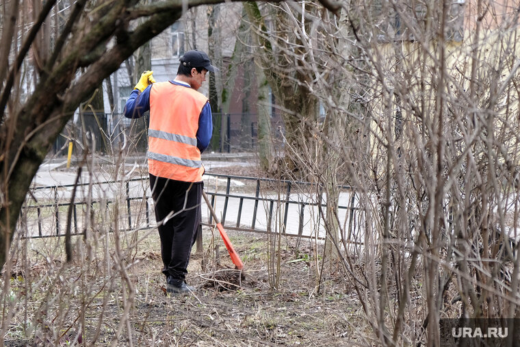    Негативно к принятию на работу трудовых мигрантов высказались 58% жителей