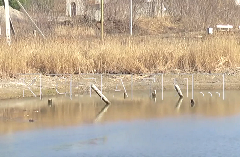 Протяженность туристического маршрута по золотому Shtampik.com