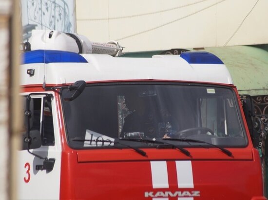     Фото ГУ МЧС по Красноярскому краю