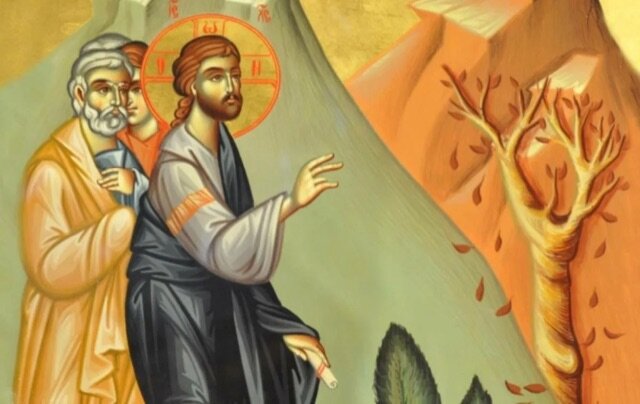 Источник фото Яндекс картинки