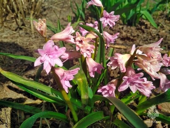     Фото: 67.mchs.gov.ru