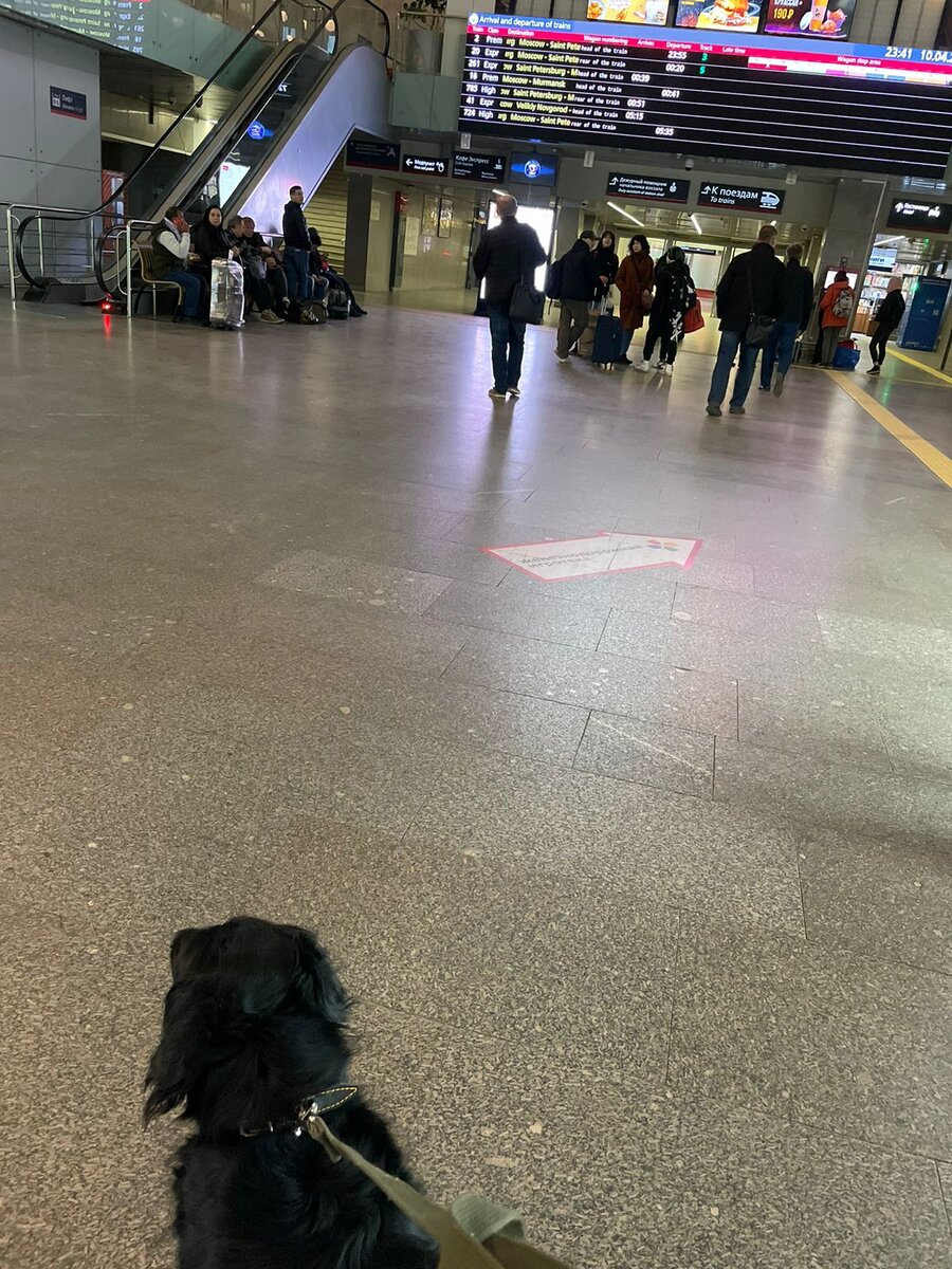 Спаня на вокзале в Москве