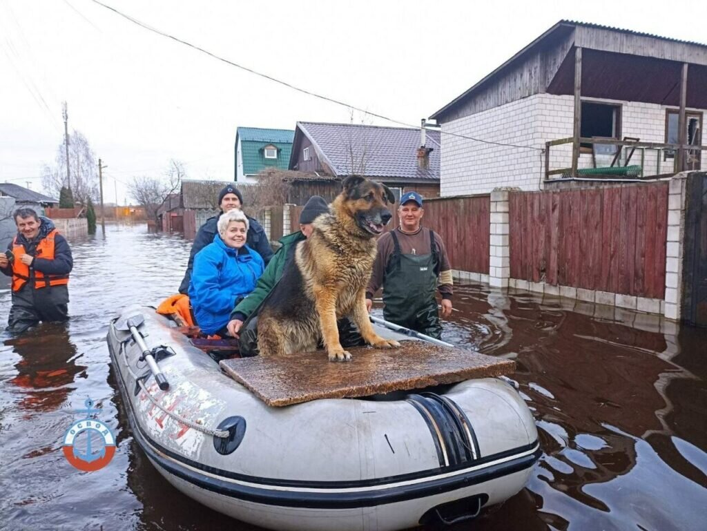 Паводок. Наводнение фото. Затопление набережной. Затопленные дворы в России.