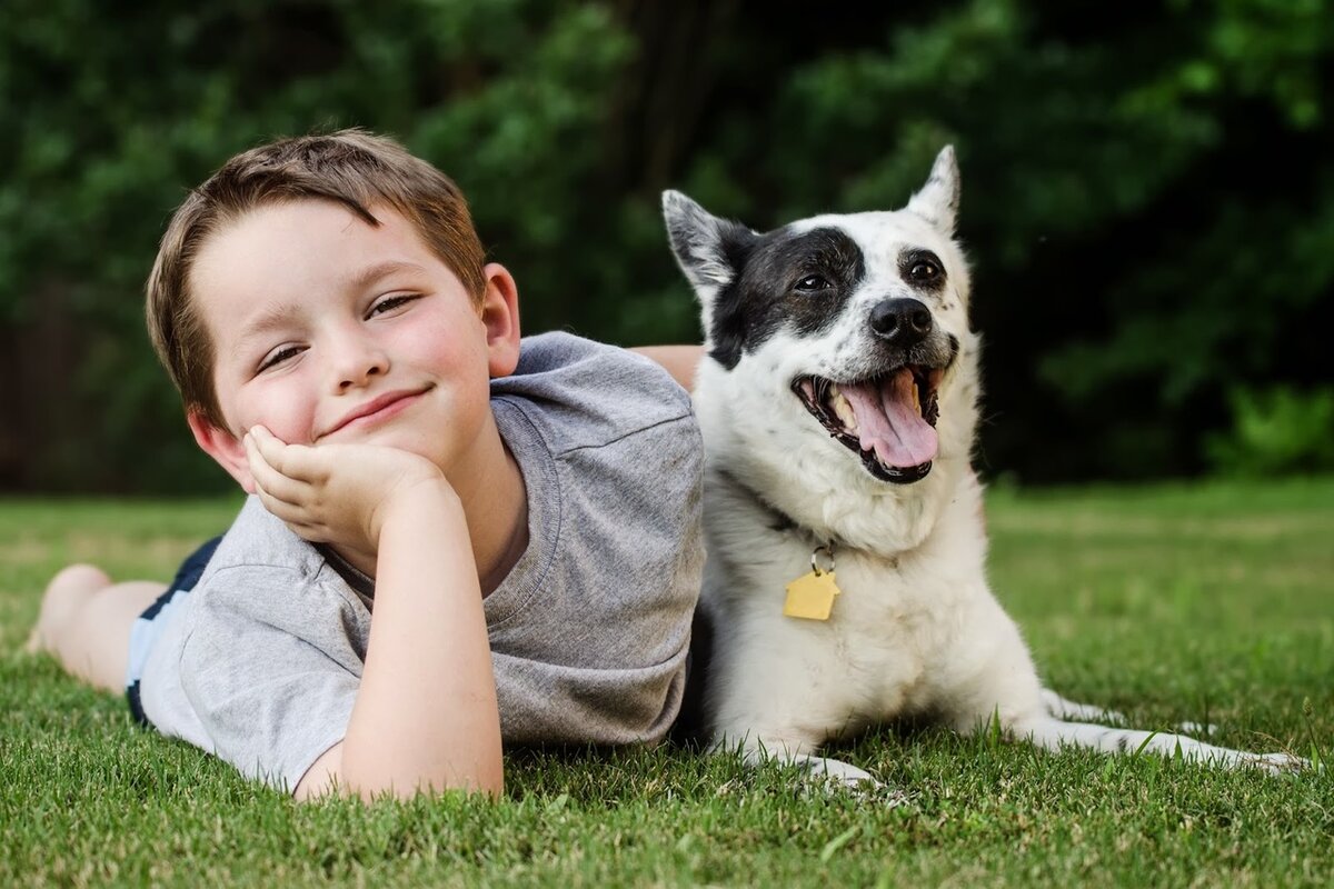 Дети с РАС и животные: возможные сценарии совместного проживания