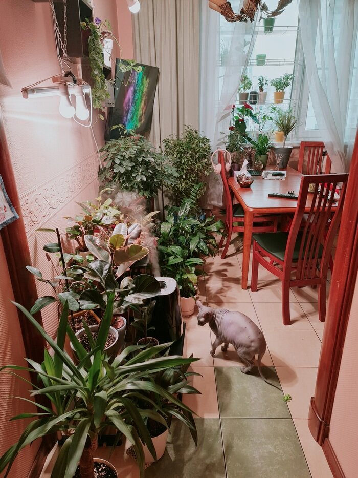 Листайте вправо, чтобы увидеть больше изображений