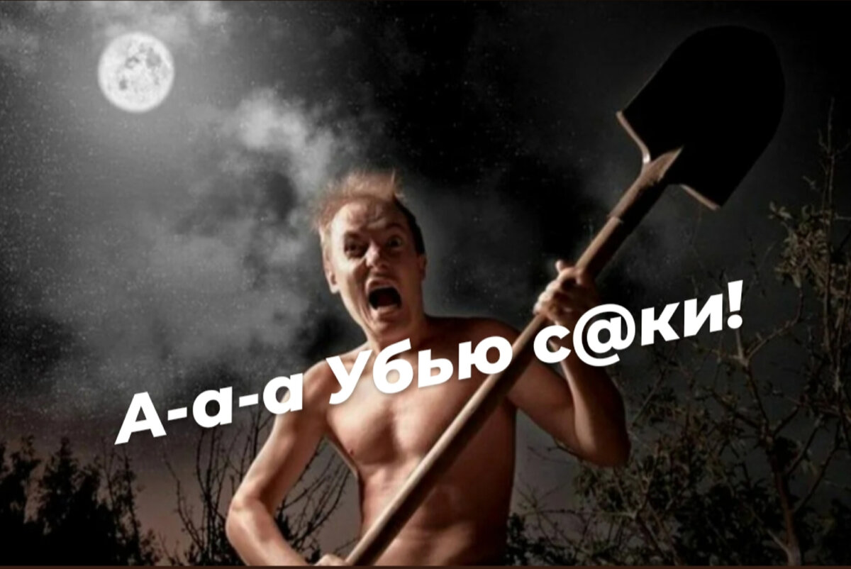 Фото из открытых источников интернет