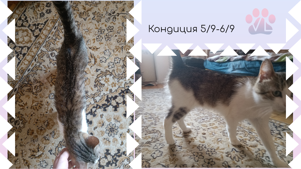 За 6/9 тут говорит только толщина кожи на спине.