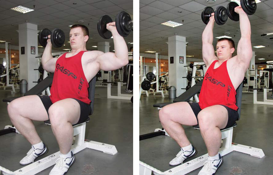 Упр.2. Жим гантелей сидя