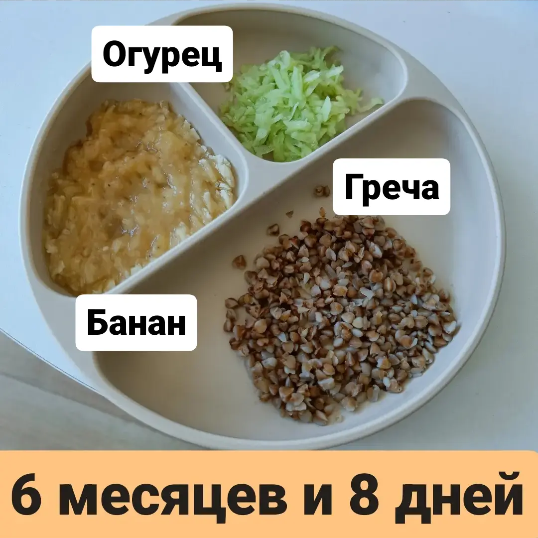 Пример тарелки для детей в 6 месяцев 