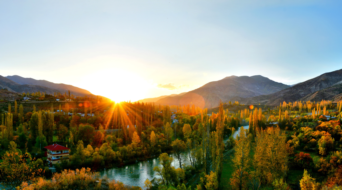 Фото сделано в программе Canva