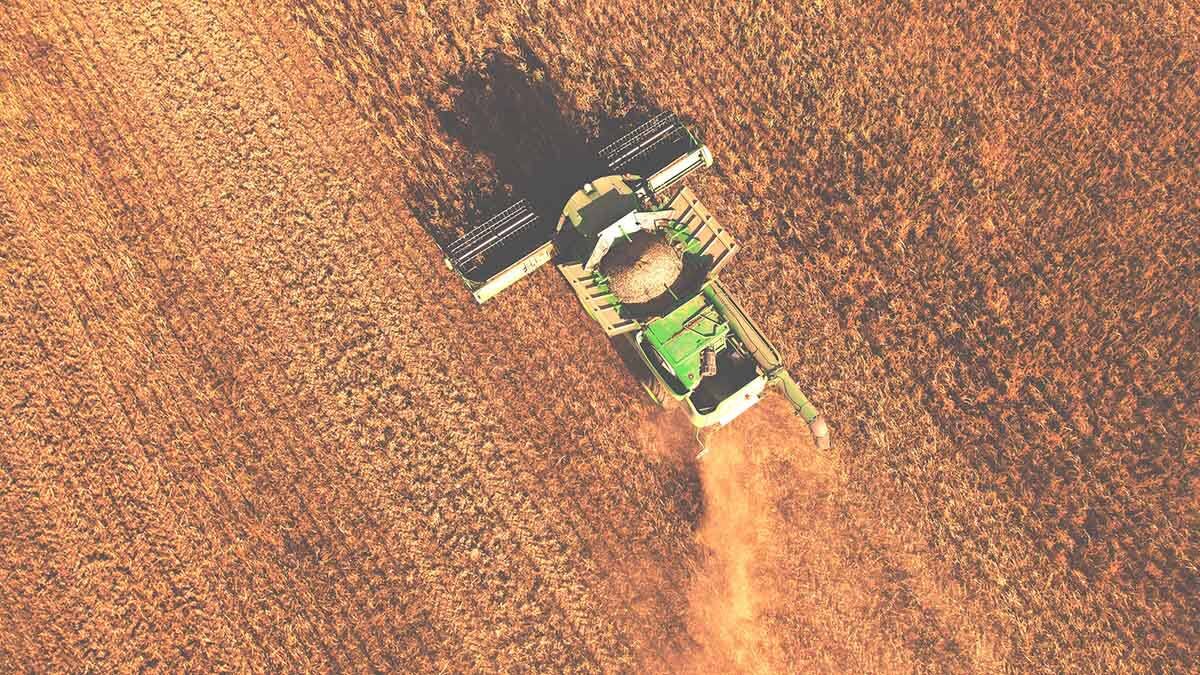    Фото: shutterstock