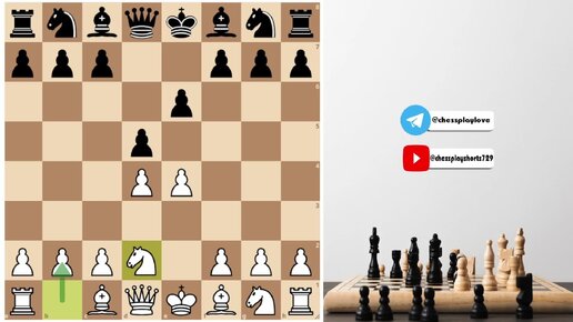 Chess com новости обучение и онлайн игра в шахматы