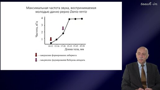 Касумян А.О. - Сенсорные системы рыб - 6. Звуки и звукогенерация у рыб