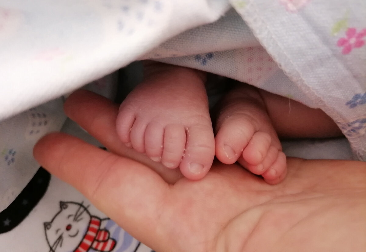 Хрупкость и сила новой жизни