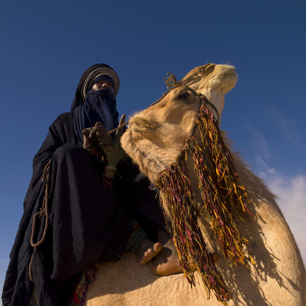 бедуины в египте