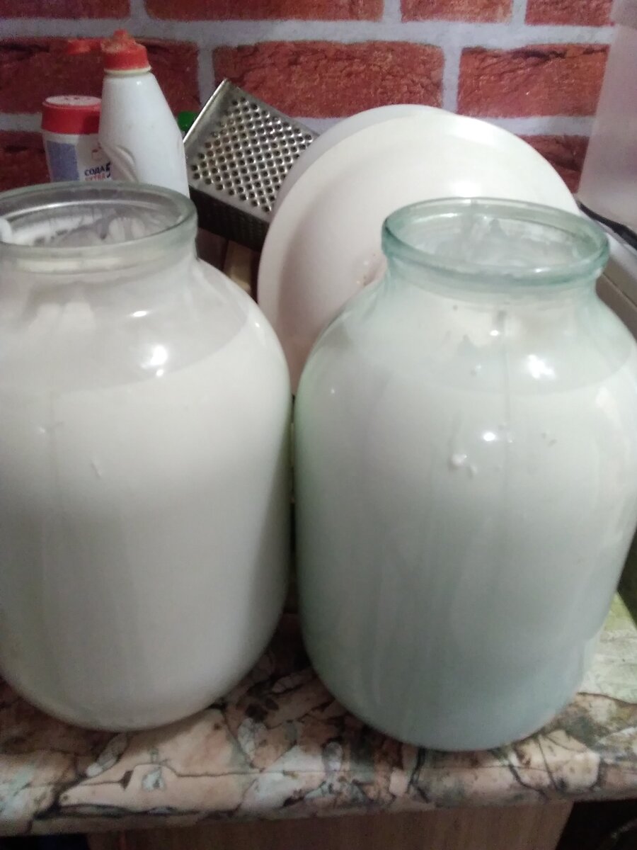 Фото автора. Коровье молоко, сливки сняла 50%,но это не обязательно, просто мне захотелось мороженого.