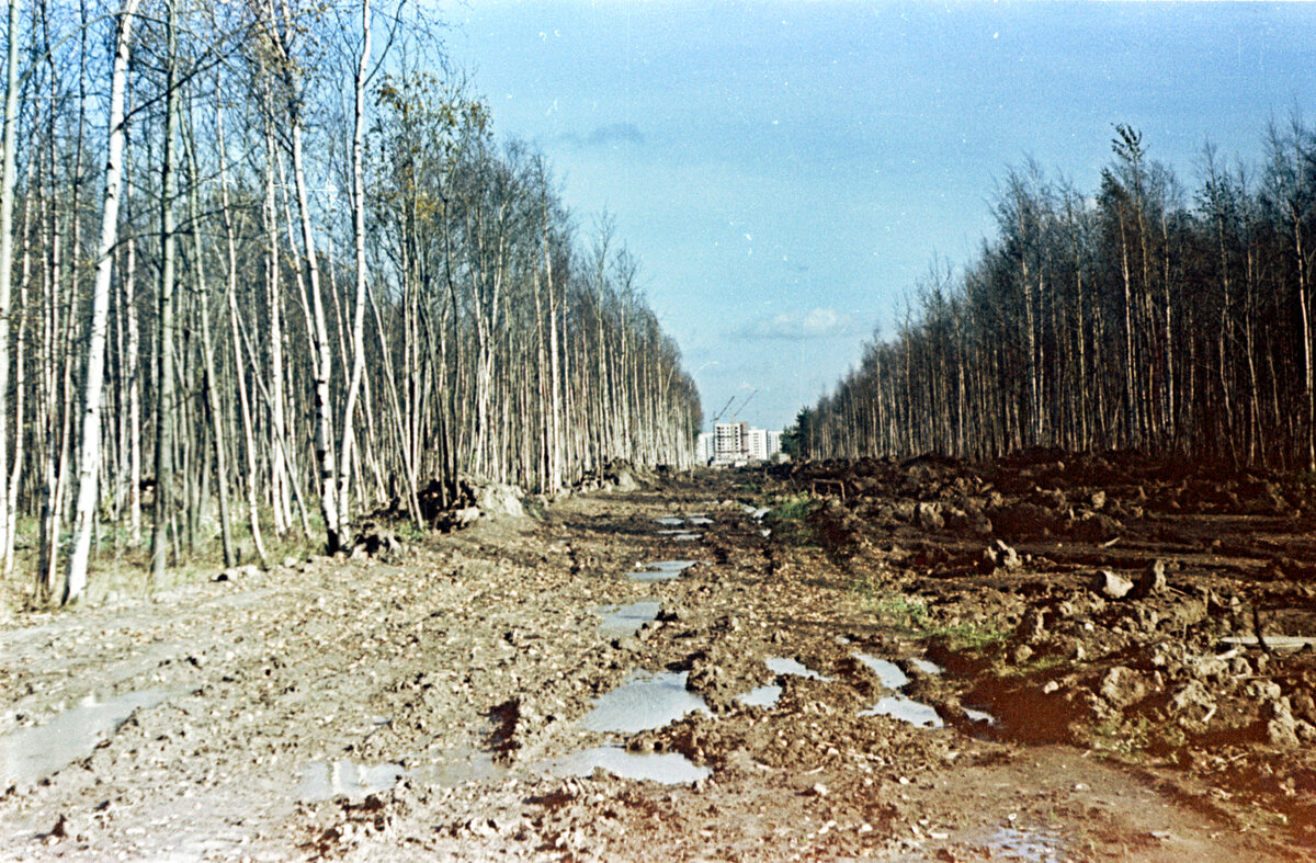 парк александрино на ветеранов