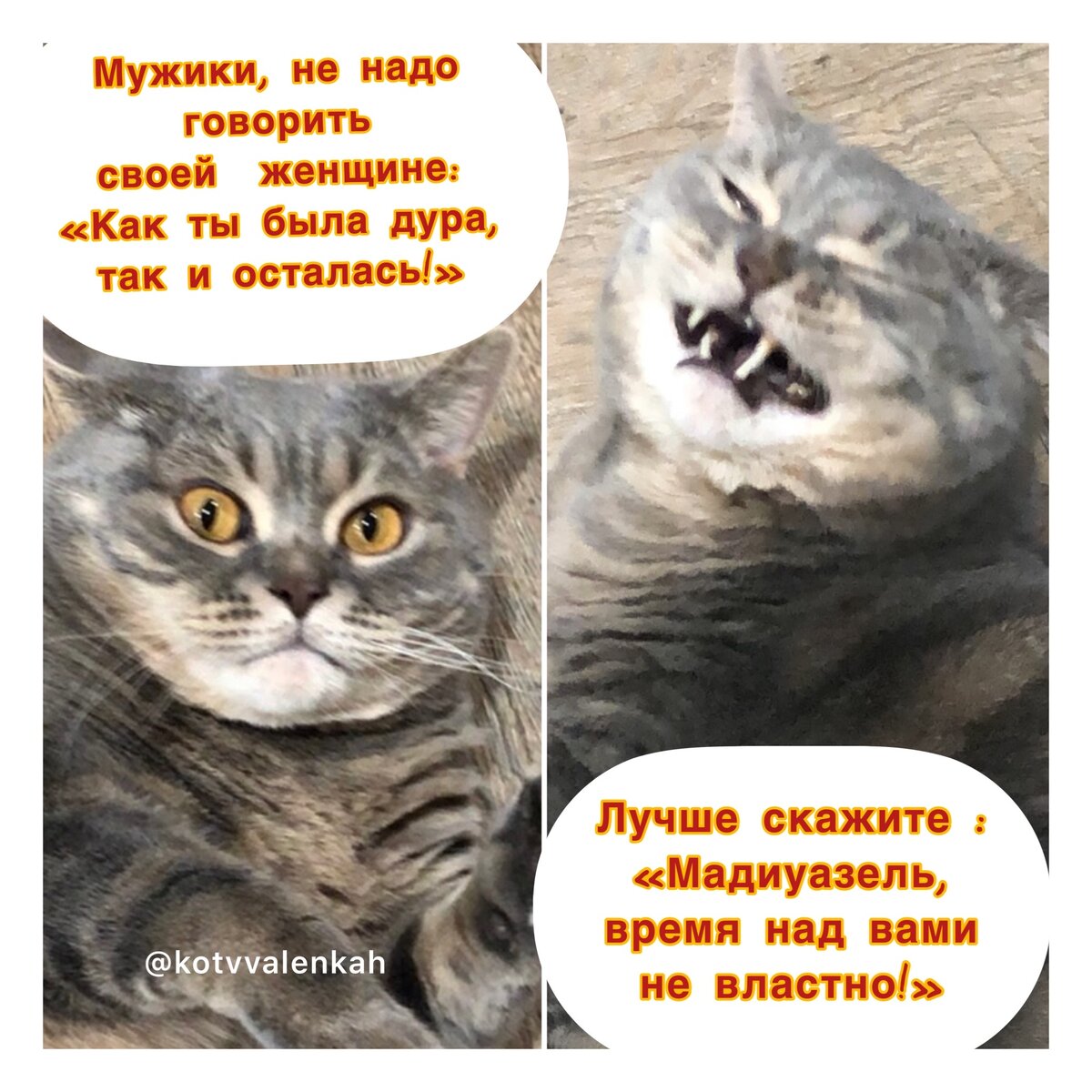 кому нужна твоя любовь и верность. бунин "дурочка",картинка. бунин танька иллюстрации. очень странные истории читать. машка дурочка.