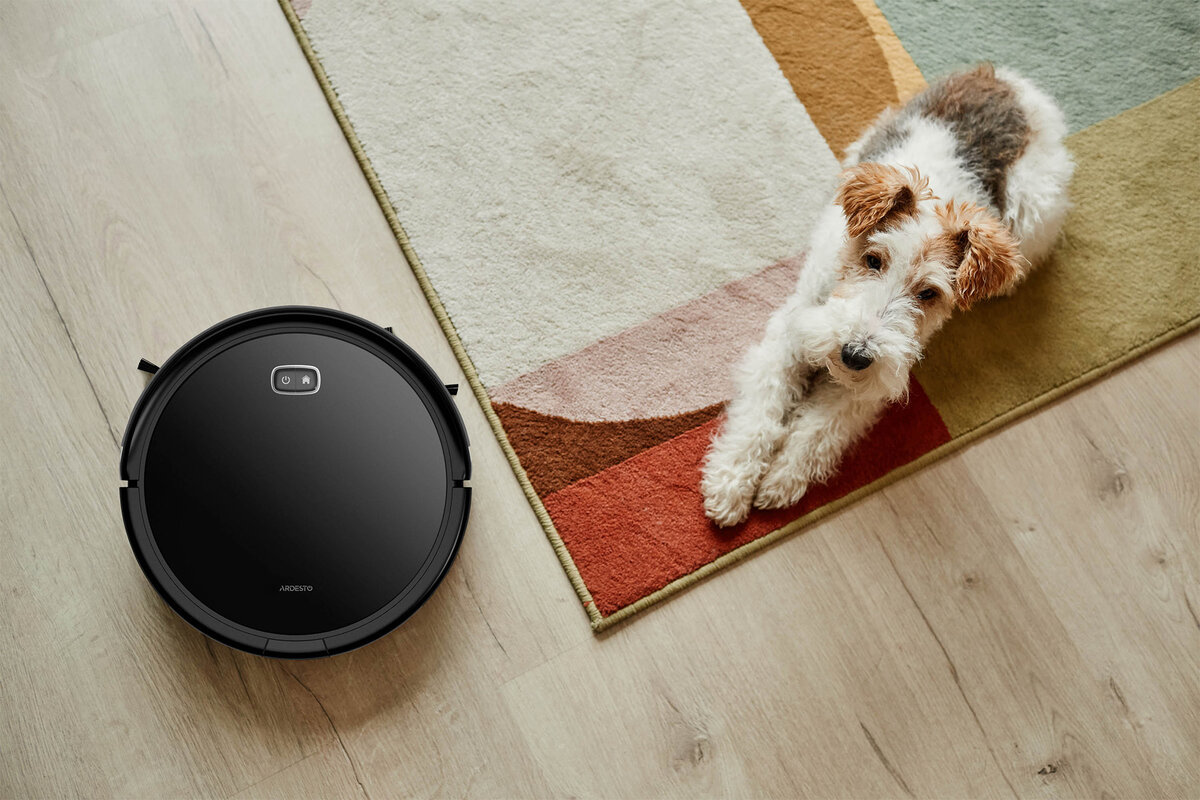 Лучший робот-пылесос. . Фото взято из открытых источников shutterstock.com 