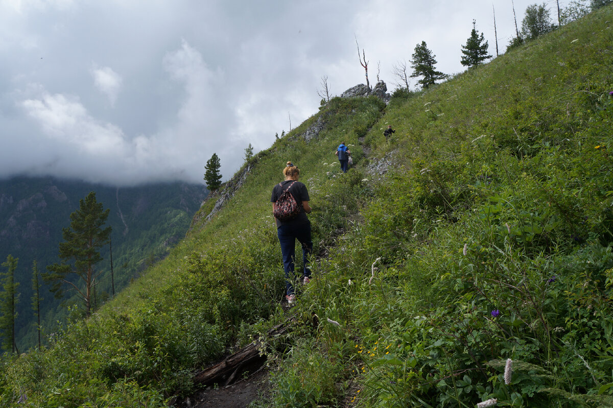 Прожектор инфракрасный пик 22f. Пик 12. Пик 12. Пик 12. Инфракрасный прожектор пик-21.