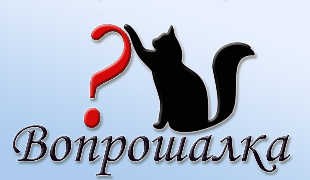 Первый. Кошка исследует вопросик.