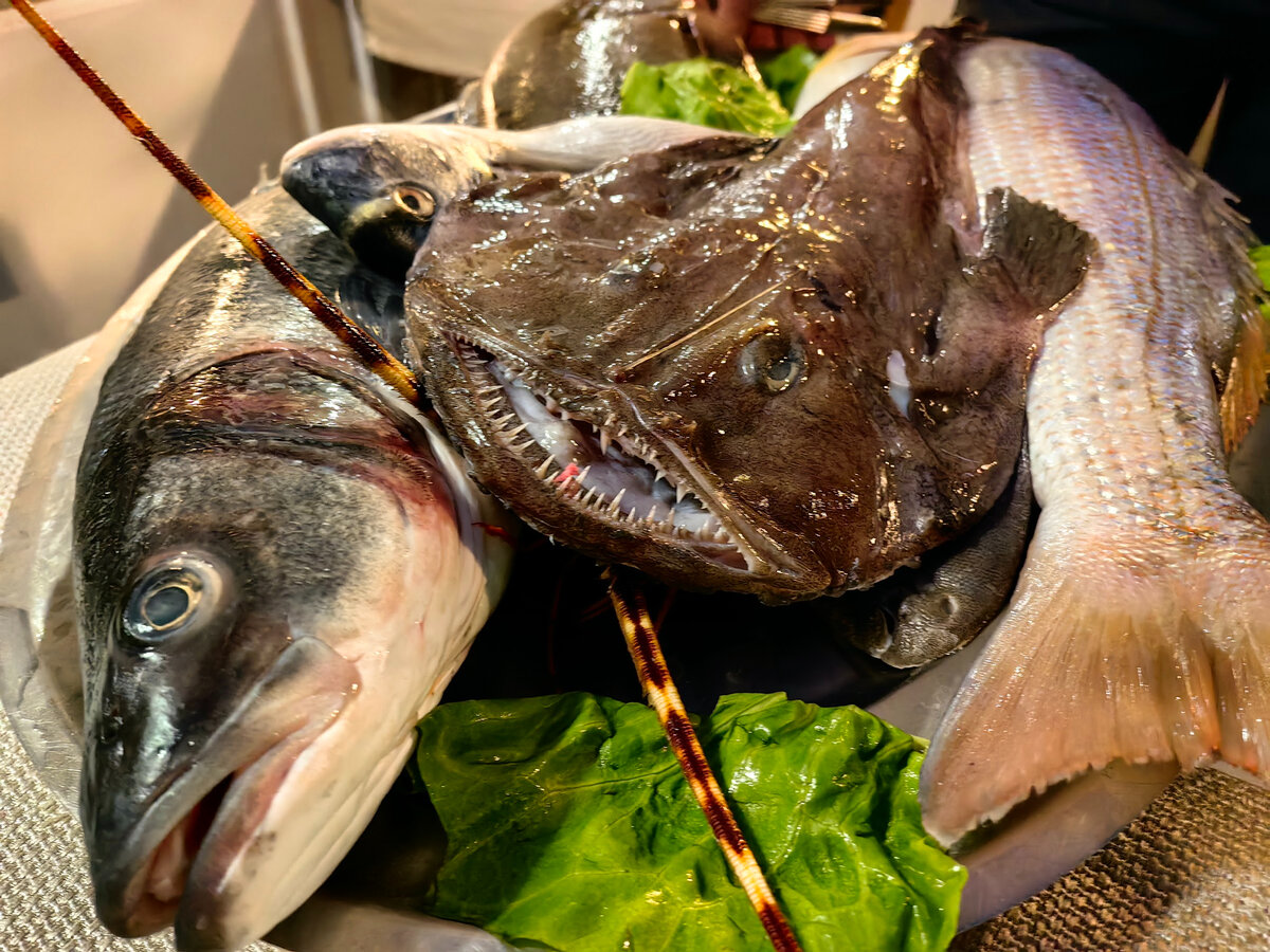 🚩 Морской черт - как готовить рыба вкусно