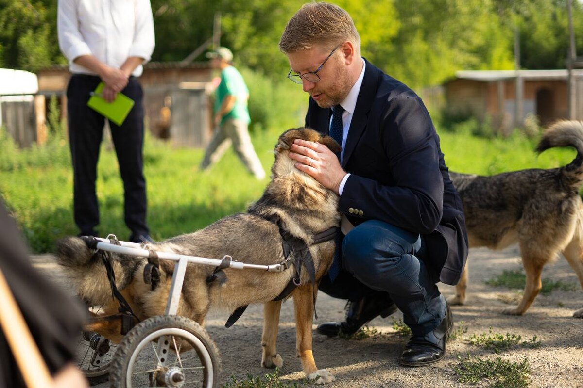 На фото: председатель партии Николай Рыбаков во время посещения приюта для собак и кошек «Защита животных» в Новосибирске в 2021 году /пресс-служба партии 